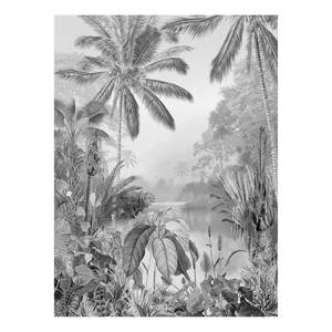 Papier peint Lac Tropical Black & White Intissé - Noir / Blanc