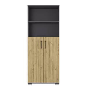 | kaufen 2.0 GW-Profi Aktenschrank II home24