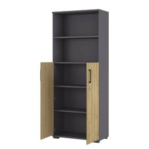 Aktenschrank GW-Profi 2.0 II kaufen | home24