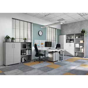 Armoire de bureau GW-Profi 2.0 I Gris clair / Graphite - Gris clair