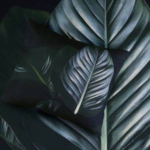 Parure de lit Tropical Coton - Noir / Vert - 200 x 240 cm + 2 oreillers 70 x 60 cm