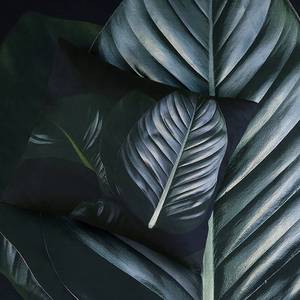 Parure de lit Tropical Coton - Noir / Vert - 140 x 240 cm + oreiller 70 x 60 cm