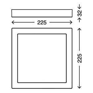 LED-Deckenleuchte  Fire Black Polycarbonat / Eisen - 1-flammig