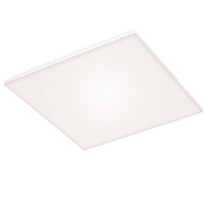 LED-Deckenleuchte  Frameless Polycarbonat / Eisen - 1-flammig