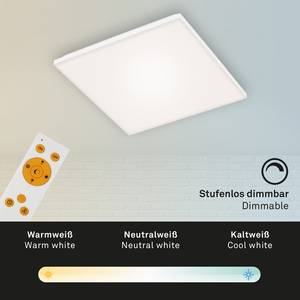 LED-Deckenleuchte  Frameless Polycarbonat / Eisen - 1-flammig