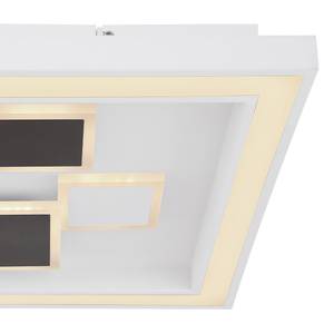 LED-plafondlamp Nolo I acrylglas / ijzer - 2 lichtbronnen