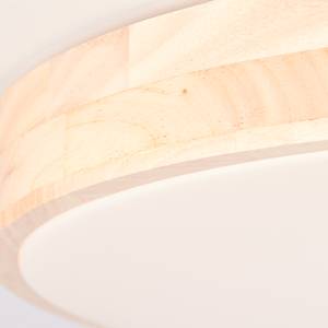 LED-plafondlamp Slimline acrylglas / staal - 1 lichtbron