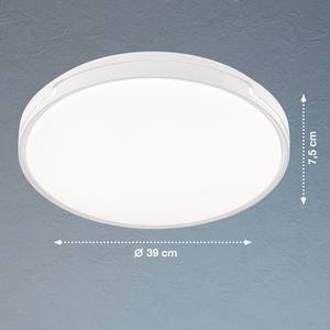LED-plafondlamp Trizay acrylglas - 1 lichtbron