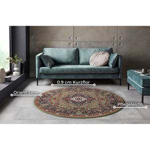 Tapis Skazar Isfahan Polypropylène - Vert - 200 x 290 cm