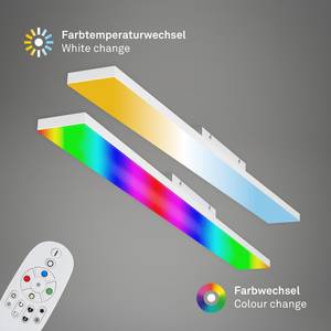 Plafonnier Frameless Polycarbonate / Fer - 1 ampoule