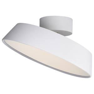 Plafonnier LED Alba Acier - 1 ampoule - Blanc