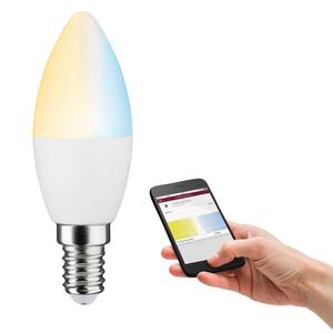 LED-Leuchtmittel Tigy Klarglas / Metall - 1-flammig
