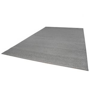 Tapis Jacksonville Fibres synthétiques - Gris clair - 160 x 230 cm