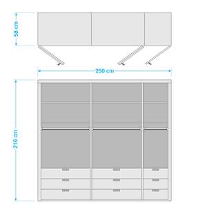 Vouwdeurkast Loft II Truffeleikenhouten look/Magnoliakleurig glas	 - 250 x 236 cm