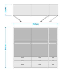 Vouwdeurkast Loft II Alpinewit/magnoliakleurig glas - 250 x 216 cm