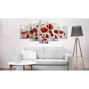 Acrylglasbild Scarlet Cloud Acrylglas - Beige - 100 x 50 cm