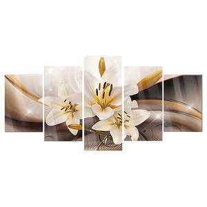 Acrylglasbild Shiny Lily Acrylglas - Braun - 100 x 50 cm