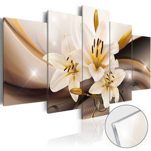 Acrylglas-afbeelding Shiny Lily acrylglas - bruin - 100 x 50 cm