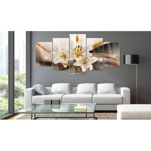 Acrylglas-afbeelding Shiny Lily acrylglas - bruin - 200 x 100 cm