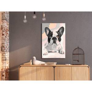 Schilderen op Nummer - Bulldog I canvas - roze