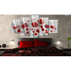 Acrylglas-afbeelding Scarlet Cloud acrylglas - Lichtgrijs - 100 x 50 cm