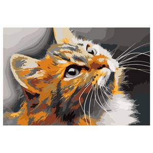 Schilderen op Nummer - Rode Kat canvas - wit