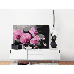 Schilderen op Nummer Orchidee III canvas - roze