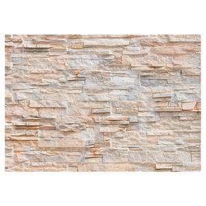 Vlies Fototapete Steinmauer Premium Vlies - Beige - 400 x 280 cm