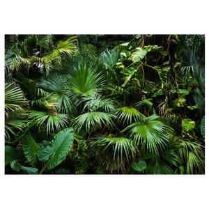 Fotobehang Sunny Jungle premium vlies - groen - 150 x 105 cm