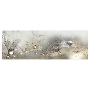 Wandbild Morning Song Leinwand - Grau - 135 x 45 cm