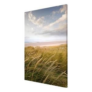 Magneetbord Duinendroom staal/speciale vinylfolie - blauw/bruin - 60 x 90 cm