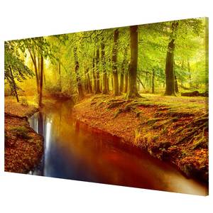 Tableau magnétique Bois d’automne Acier / Film vinyle - Marron / Vert - 90 x 60 cm