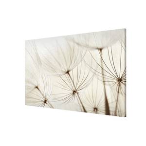 Magneetbord Zachte Grassen staal/speciale vinylfolie - beige - 60 x 40 cm