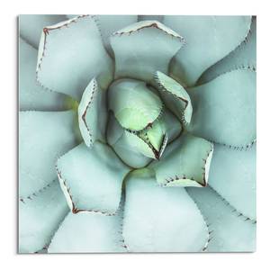 Tableau déco en verre Cœur d’agave Verre de sécurité - Vert