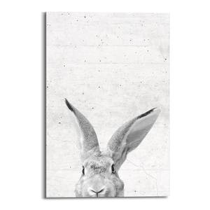 Tableau déco Lapin Noir / Blanc