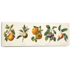 Wandbild Früchte Gelb
