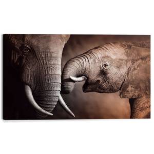 Wandbild Elefanten Familie Glanzpapier - Braun