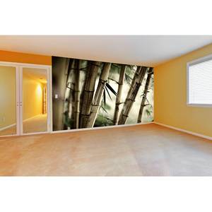 Papier peint en intissé Bamboo Forest Papier peint en intissé - Beige / Vert - 360 x 240 cm
