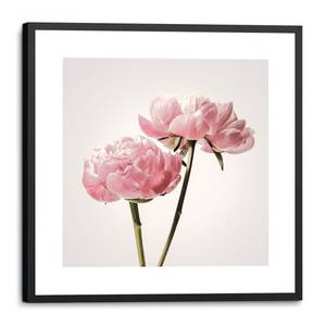 Gerahmtes Bild Pfingstrosenblüten Papier / Glas - Pink