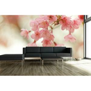 Papier peint en intissé Cherry Blossoms Papier peint en intissé - Rose / Beige - 180 x 120 cm