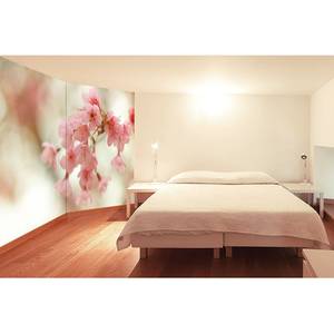 Papier peint en intissé Cherry Blossoms Papier peint en intissé - Rose / Beige - 120 x 80 cm