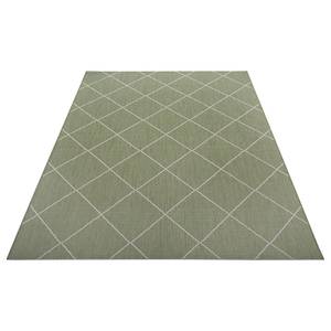 Teppich Audrieu I Polypropylen - Grün / Beige - 160 x 230 cm