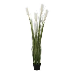 Pot de fleurs Pampas Matière plastique - Vert - Hauteur : 150 cm