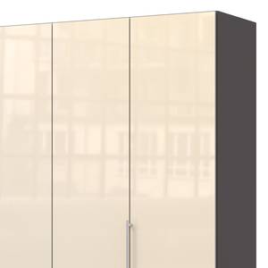 Vouwdeurkast Loft II Havanna / Magnoliakleurig glas - 200 x 216 cm