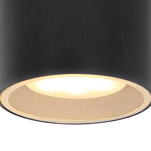 Plafondlamp Alcala transparant glas/ijzer - 1 lichtbron - Zwart