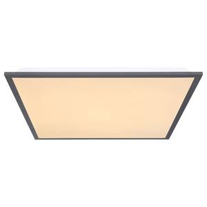 LED-plafondlamp Doro III acrylglas/ijzer - 2 lichtbronnen