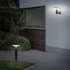 LED-Buitenwandlamp Paddenstoel silicone/roestvrij staal - 1 lichtbron