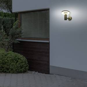 LED-Buitenwandlamp Paddenstoel silicone/roestvrij staal - 1 lichtbron
