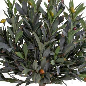 Kunstpflanze Olivenbaum Kunststoff - Grün
