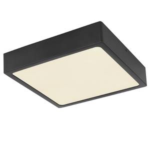 LED-Deckenleuchte Echo I Acrylglas / Eisen - 1-flammig